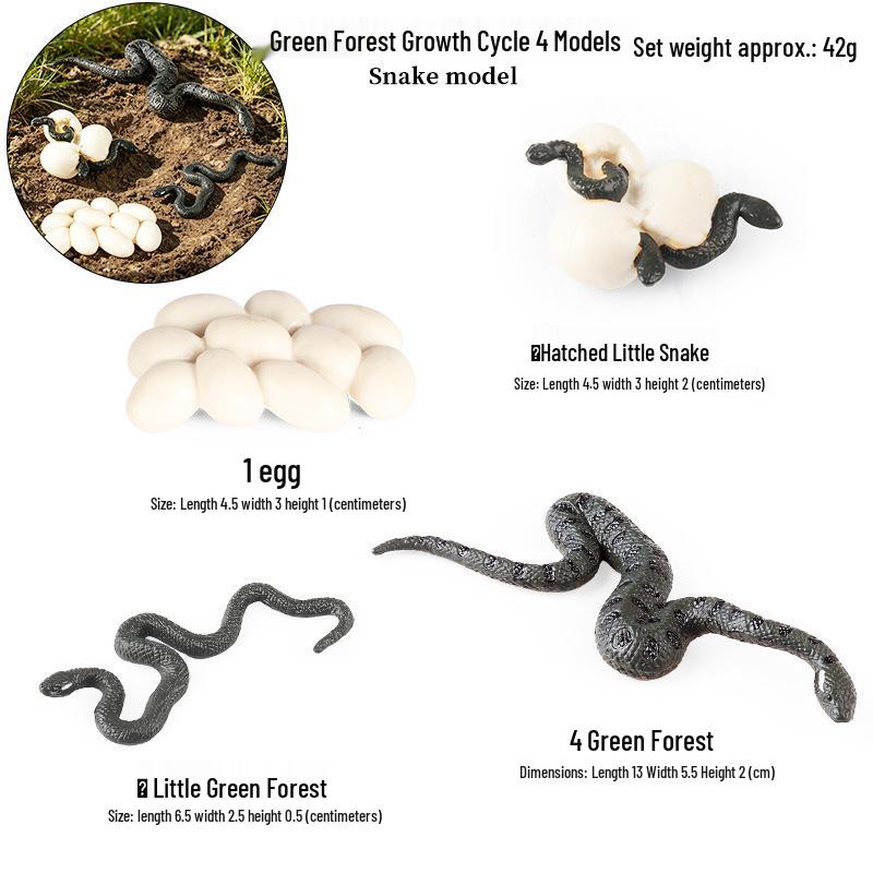 Mini Animal Growth Cycle Toys: Butterfly, Rooster, Ant, Frog, Sea Turtle, Dragonfly