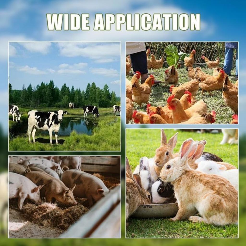 Home Agricultural Grass Shredder Chopper , Improve Efficiency In Chopping Grass And Vegetables, Ducks, Geese And Pigs