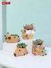 Creative Resin Desktop Flower Pot For Home Gardening Succulents Balcony