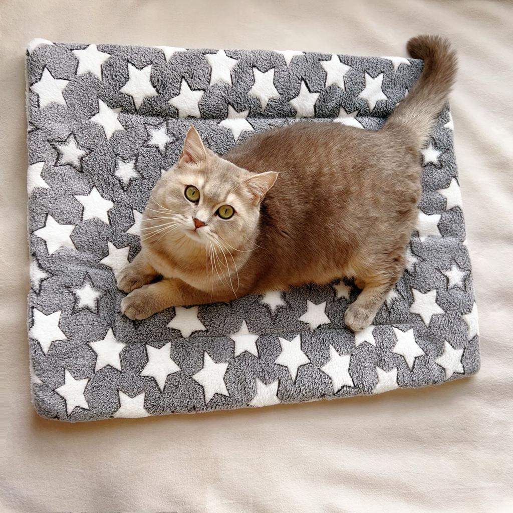 Haustier-Schlafmatte Hundebett Katzenklo Welpenbett Hundesofa Schönes Matratzenkissen für kleine Hunde Winterdecke CWDZ01