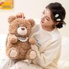 Cartoon Bear Removable Electric Hot Water Bottle