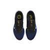 New Nike Air Zoom Winflo 10 'Black Racer Blue' DV4022-005