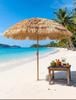 Tourist Straw Hat: Sun Protection Resort Decor with Beach & B&B Appeal