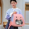 Foldable Kitten Carrying Bag Breathable Pet Carry Backpack Cat Carrier Bag  Animal Carrying