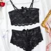 European and American sexy fun set, seduction lace underwear set two-piece set