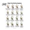 Gentle Chair Workout Routine 3Pcs Tai Chi Posters Seated Canvas Fitness Poster Illustrations Exercise Instructions for Beginners Seniors Senior