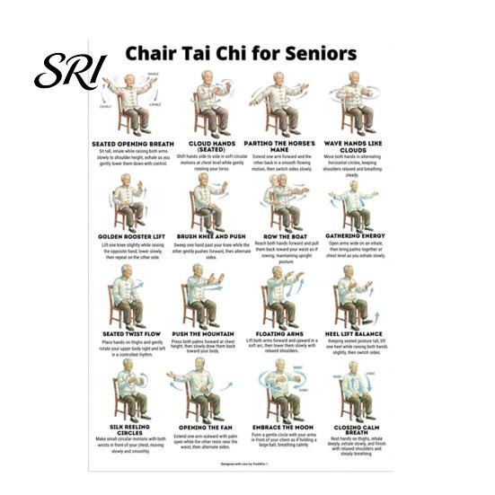 Gentle Chair Workout Routine 3Pcs Tai Chi Posters Seated Canvas Fitness Poster Illustrations Exercise Instructions for Beginners Seniors Senior