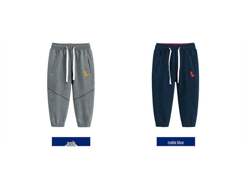 2024 Children's Dinosaur Sports Pants - Boys' Autumn Trousers