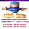 DN15 DN20 DN25 1/2" 3/4" 1" BSP Femmina Maschio Ottone Valvola di Ritegno Unidirezionale Non Ritorno Per Installazione Prima O Dopo il Contatore dell'Acqua