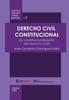 Kniha Derecho Civil Constitucional : (La Constitucionalizacion Del Derecho Civil)