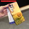 2DFlat Samsung phone case Golden Puppy Playing with Ball at Sunset Applicable to Galaxy S23 S24 S25ULTRA S26 A12 A14 A15 A16 A54 A55