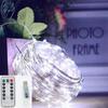 LED Silver Wire String Lights USB Holiday Fairy Lamp Copper Wire New Year Christmas Indoor Decoration With Remote Control
