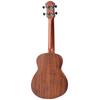 aNueNue Hawaiian Dream Series Concert Cedar with Pickup Ukulele, Size/aNN-C4E, Top,