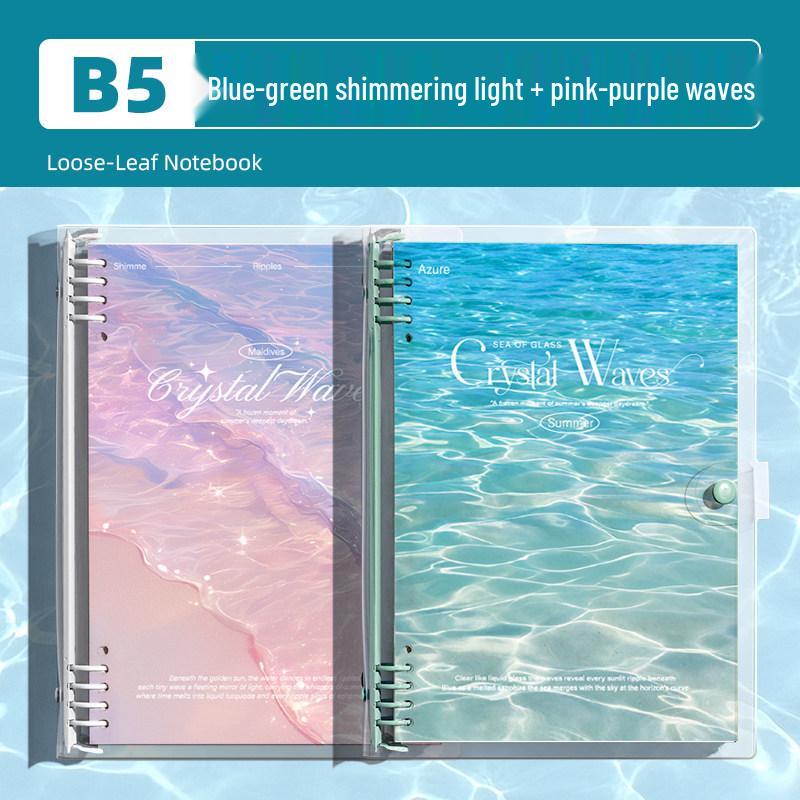 Detachable Transparent Leather Binder with 5 Notebooks for High School Students - 2026 Edition