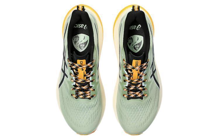 Asics GT 2000 12 TR Nature Bathing - Green Fellow Yellow - 1011B775-250