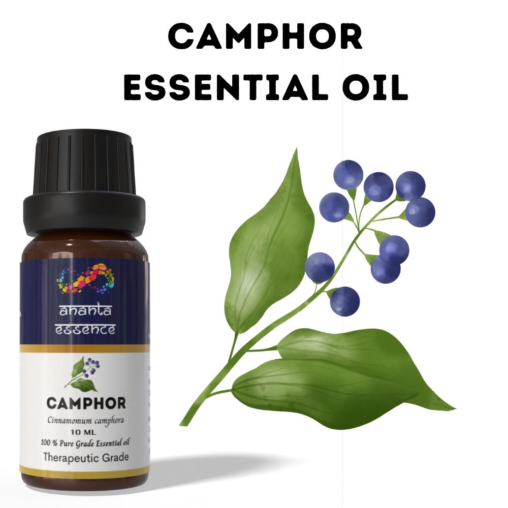 

Ananta Camphor Essential Oil 10ml – Natural Fresh Aromatic Oil for Diffuser, Home & DIY Use Volume=10ml