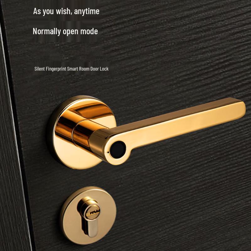 Smart Fingerprint Door Knob Lock