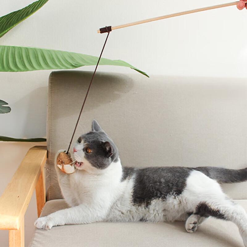 Smart Rolling Cat Toy with Wooden Teaser Stick Set