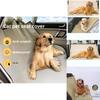 Dog Car Seat Pad Waterproof Collapsible Removable Seat Protector For Pets