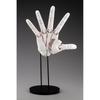 Kotobukiya Artist Support Item 1/1 Scale Hand Model R White Generic Model