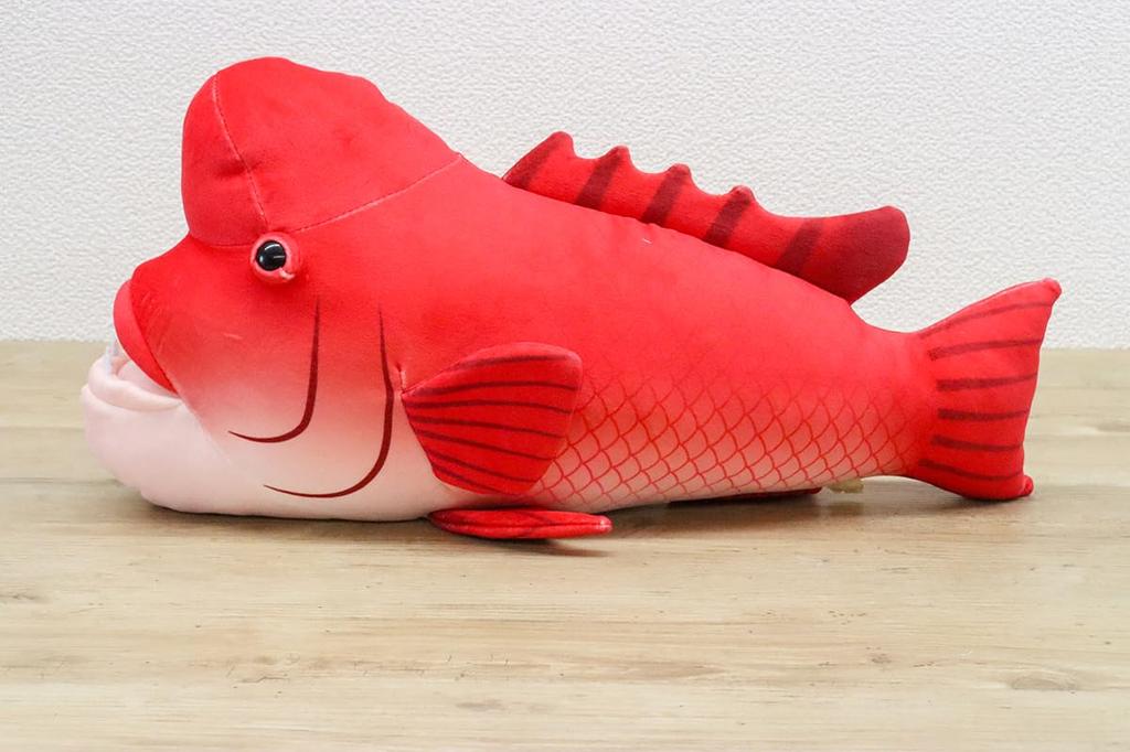 Takeoff Sea and Fish Asian Sheepshead Wrasse