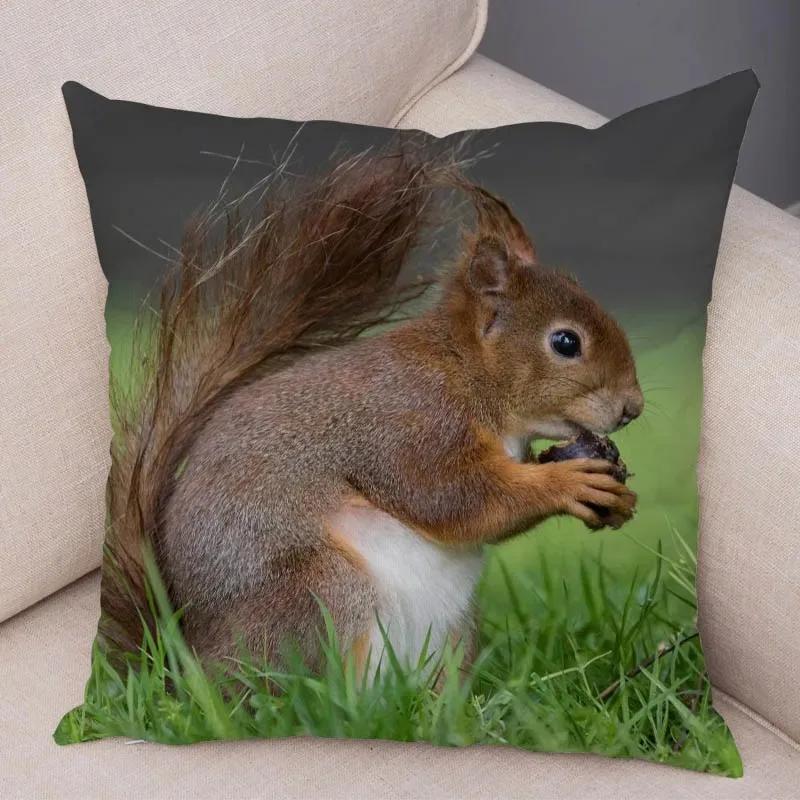 Cute Squirrel Cushion Cover Pillowcase Pillow Covers Home Decor Pet Animal Pillows Case Super Soft Polyester Pillows Covers