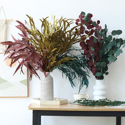 Eternal Apple Eucalyptus Millet Fruit Leaves Beauty Leaves Eucalyptus Leaves Air Dried Flowers And Leaves Multicolor Eucalyptus Leaves Home Decoration