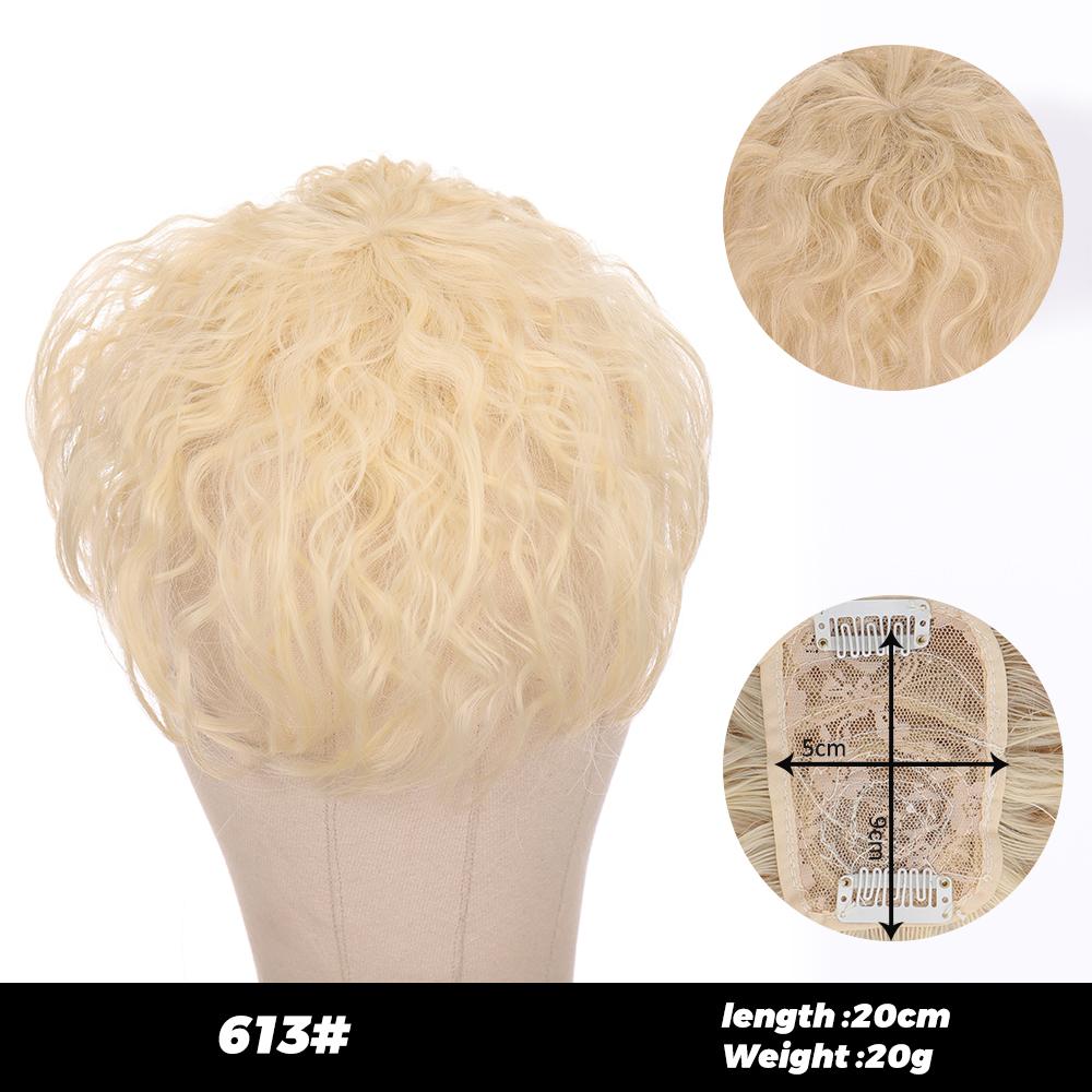 

Синтетические черные, коричневые вьющиеся волосы, парик с 2 клипсами для наращивания волос, сменная застежка, парики с челкой для женщин