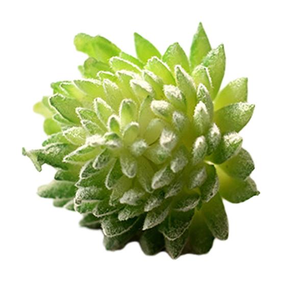 Micro Landscape Ornament Simulation No Watering Realistic Ornaments Flocking Texture Indoor