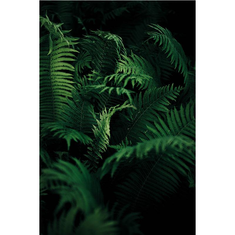 Modern Nature Canvas Painting Green Leaves Paintings Plant Pictures Tree Posters Prints for Living Room Decor Cuadros Wall Art