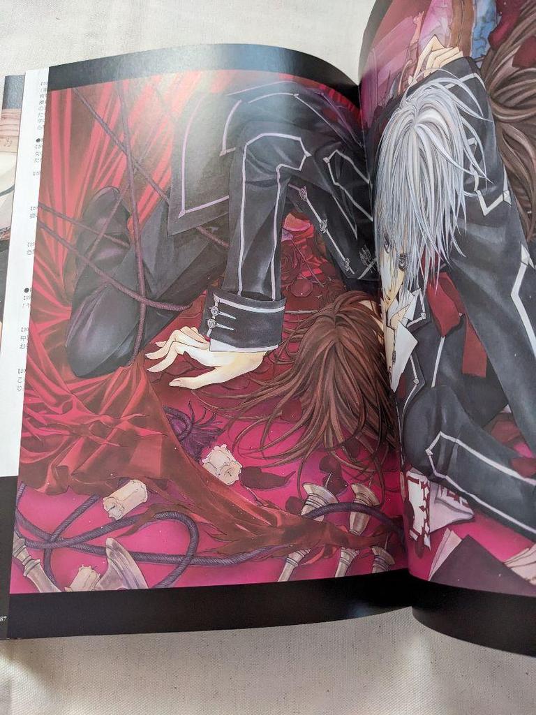 [USED] Vampire Knight Art Book by Hino Matsuri, First Edition with Obi