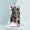 Cartoon Fun Cat Pet Dog Luxury Phone Case For iPhone 16 15 14 13 12 11 Pro Max XS X XR SE 7 8 Plus soft Silicone Clear Cover