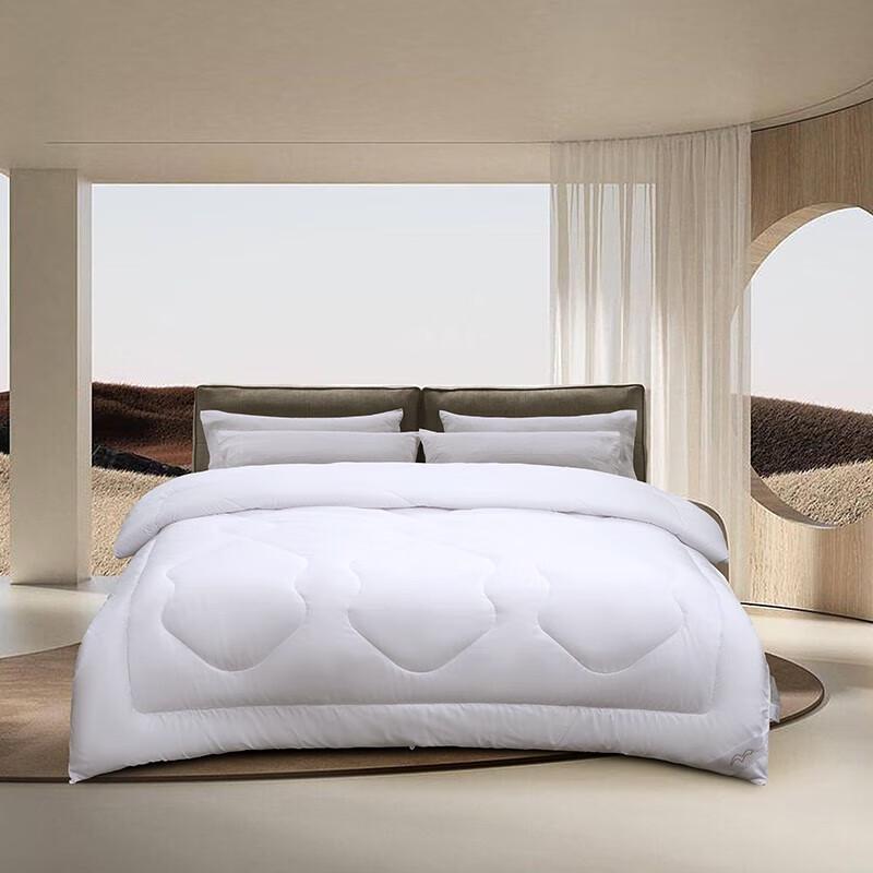 

Mercury Home Textiles DH Dousang Nine-Hole Fiber All-Season Duvet Insert