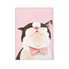 Travel Accessories Leather Passport Cover Anime Cartoon Cute Passport Case Women ID Bank Card Address Holder Girls Ticket Wallet