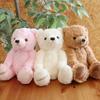[Sears] Teddy Bear Plush Toy, Gift (Pink)