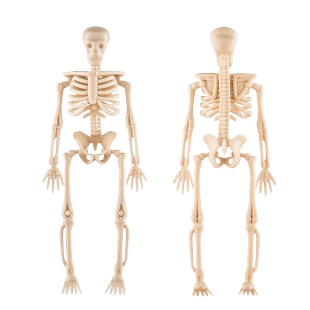 Halloween Decoration Props, Prank Supplies, DIY Skeleton Skeleton Human Skeleton