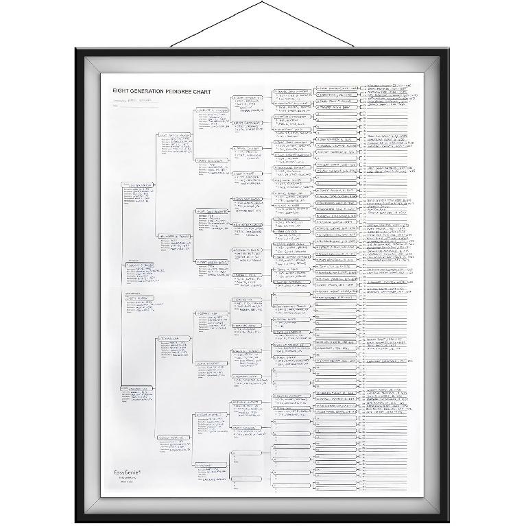 10 Blank Pedigree Charts for Genealogists (8 generations/256 names per form) by EasyGenie