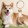Elegante Chaveiro Memorial para Perda de Animal de Estimação Apresenta Compartimento Visível para Armazenamento de Pelos e Chaveiro Durável para Caixa de Pelos de Animal de Estimação