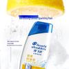 Head & Shoulders Anti-Dandruff Oil Control Shampoo