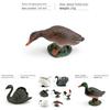 Figures Animal Realistic Model With Ducks Rooster Swans For Decorative Display