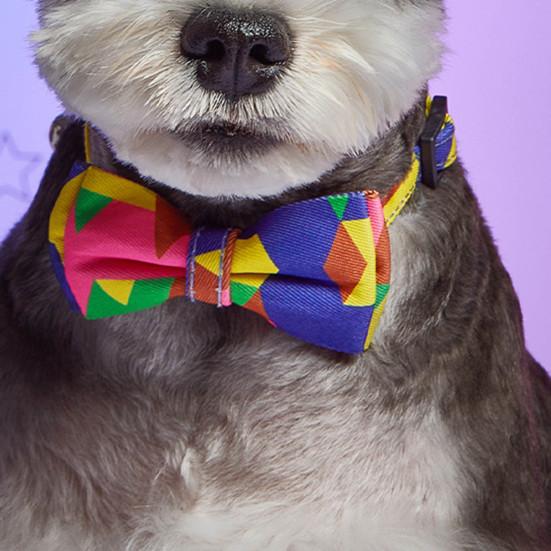 

Pet Collar Bowknot Decor Breathable Vibrant Colors Bells Small Pet Dog Cat Safety Belt