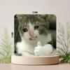 Grappige Kat Memes Koelkastmagneet Gepersonaliseerde Creatieve Magnetische Stickers Met Magneten