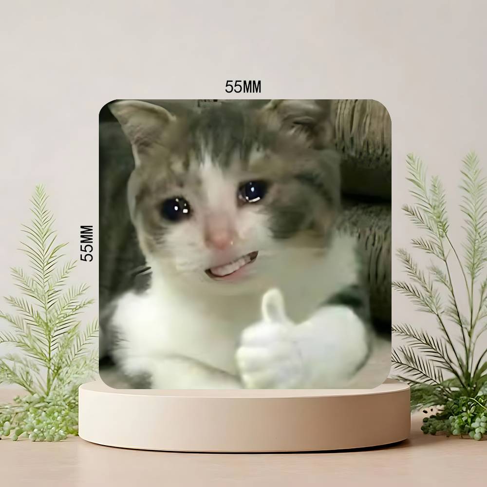 Grappige Kat Memes Koelkastmagneet Gepersonaliseerde Creatieve Magnetische Stickers Met Magneten