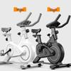 TLXT S8 Magnetic Indoor Exercise Bike CN plug (adapter included)