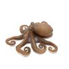 Pvc Simulation Sea Life Animals Model Handmad Collectible Octopus Action Figures Toy Crafts Ornament Crab Model Figurines