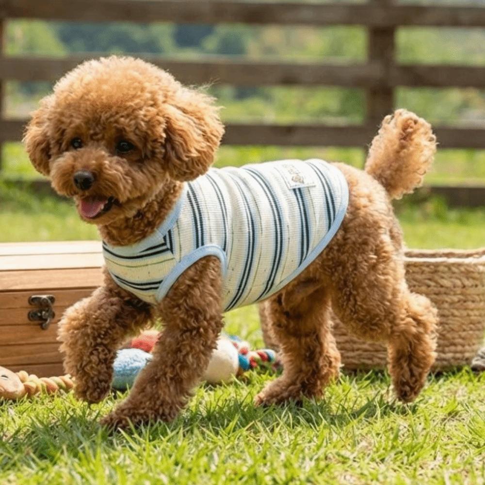 Round Neck Dog Cooling Vest Breathable Summer Dog Clothes Cute Pet Outfits  Small Dogs