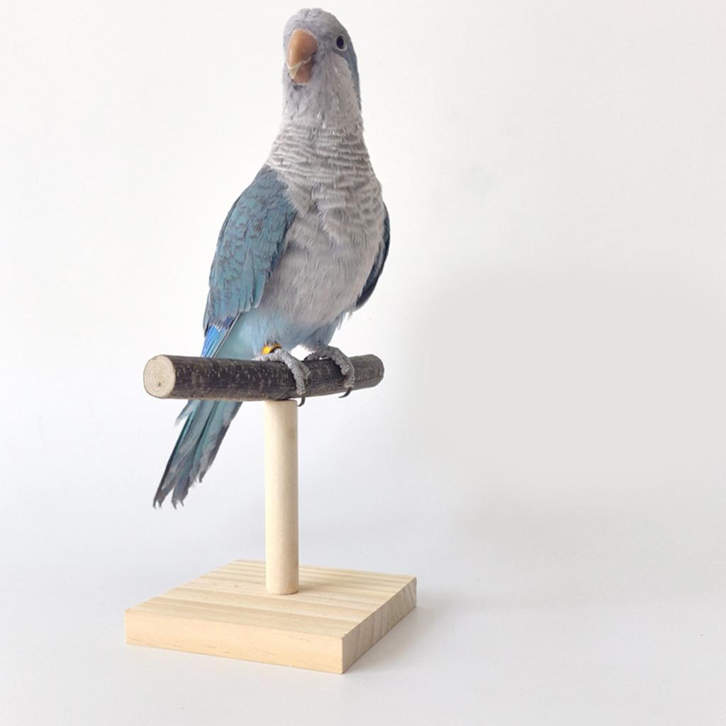 Vtáčie bidlo Prírodné drevené stojan pre papagáje Conure Potreby pre andulky Brúska Škrabadlo pre malé stredné papagáje Stojan Hračka