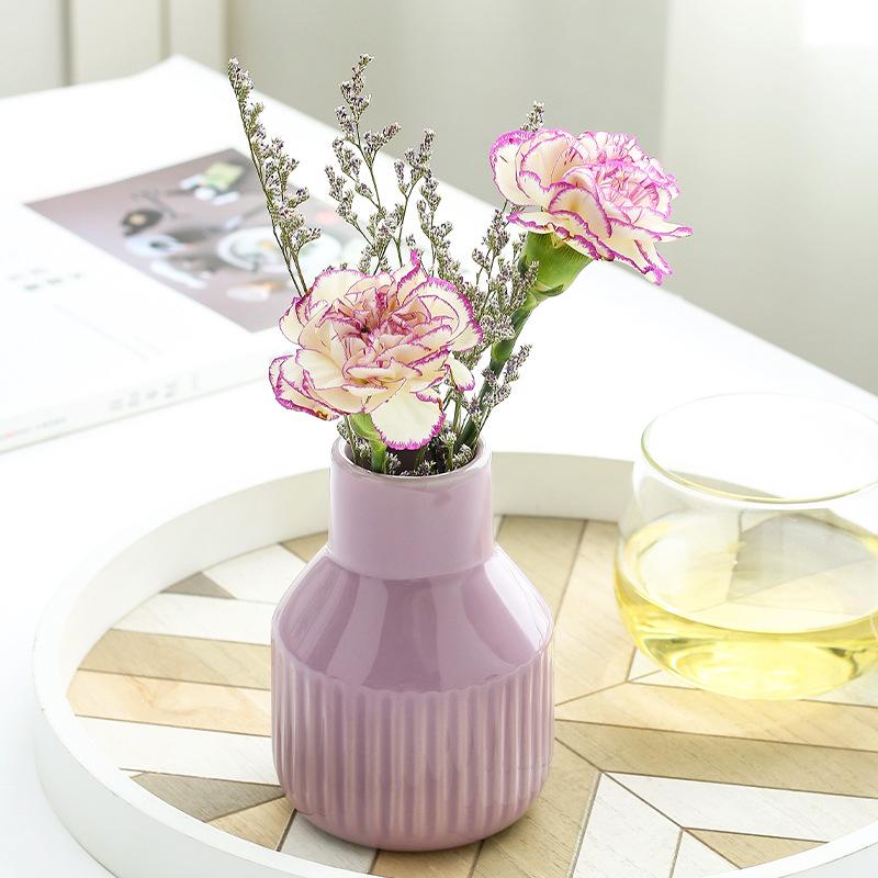 Einfache bunte Vase Keramik Hydrokulturvase Kunst Blumenarrangement Kreative Heimdekoration Desktop-Ornamente Pflanztopf