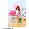 Takara Tomy Licca-chan Doll Photogenic Licca Nerine 20cm Fashion Toy