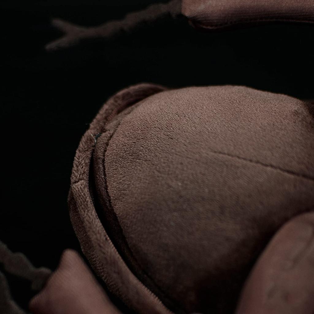 Realistic Stag Beetle Plush Stag Beetle Atlas Animal Insect Beetle Plush 26cm Soft Crustacean Animal Unique Beetle Plush Toy Model Doll Gift for Toy,